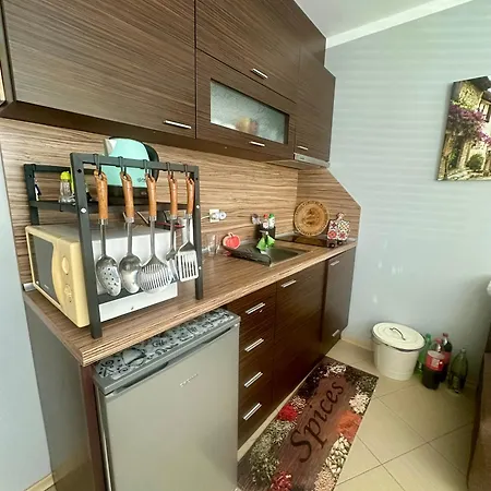 Apartment Psb In Plaza Slantschew brjag